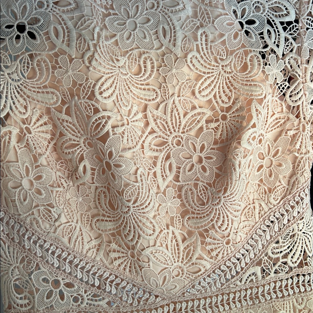Monique Lhuillier Blush Lace Midi Dress - Picture 5 of 5